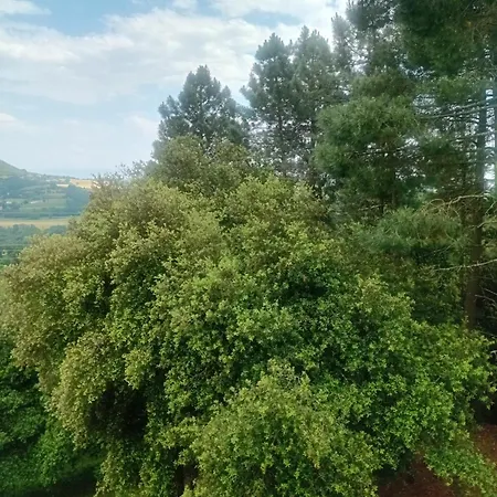 Πανσιόν La Maison Des Pins Saint-Péray