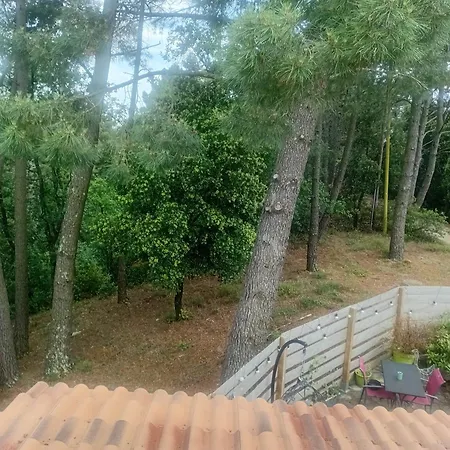 La Maison Des Pins 3*